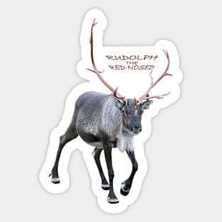 Rudolph the red-nosed Sticker